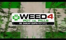 Ful CNN documentary weed