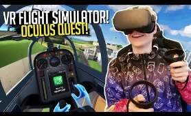 VR FLIGHT SIMULATOR with the OCULUS QUEST!