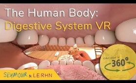 Human Digestive System in VR!!! | Education in 360