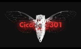 Cicada 3301: An Internet Mystery