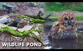 I Built a Wildlife Pond... and so Many Animals Came | My Wildlife Conservation | Robert E Fuller