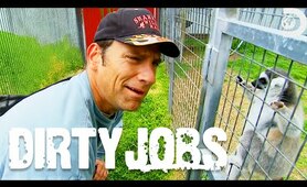 Mike Rowe’s Exotic Animal Adventure in Texas | Dirty Jobs | Discovery