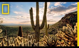 Deserts 101 | National Geographic
