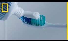 How Your Toothbrush Became a Part of the Plastic Crisis | National Geographic