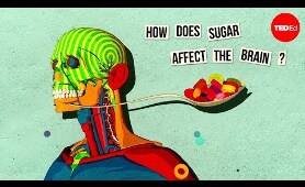 How sugar effects the brain 